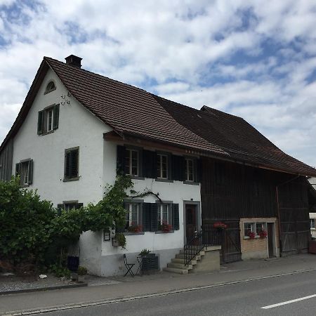 Airport Zuerich Elwiras B & B Lufingen 外观 照片