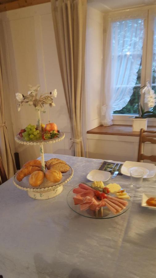 Airport Zuerich Elwiras B & B Lufingen 客房 照片