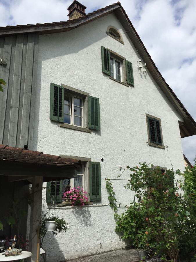Airport Zuerich Elwiras B & B Lufingen 外观 照片